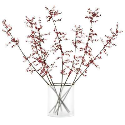 透明玻璃花瓶